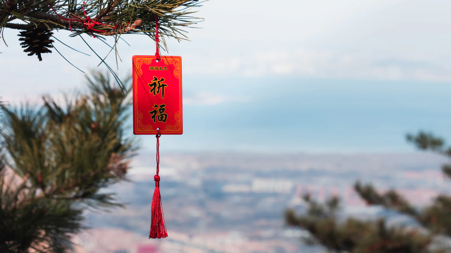 海边松枝上悬挂的红色祈福牌。